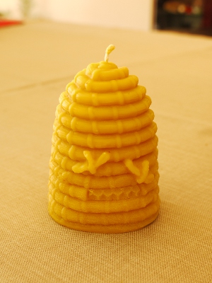 P1360349x